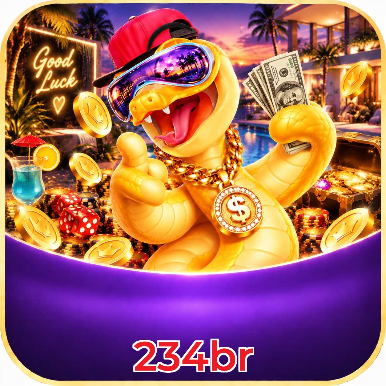234br Seguro SSL